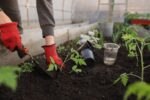 jardinería